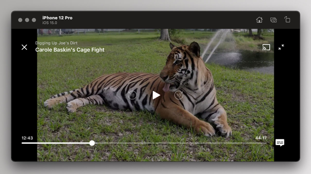 Discovery+ - Content Playback Landscape